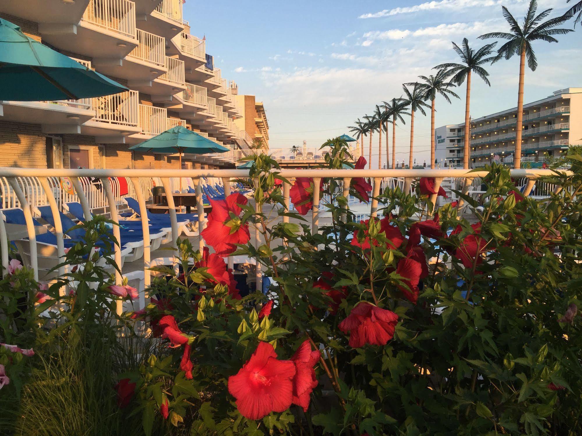 Shalimar Resort Уайлдууд Крест Екстериор снимка